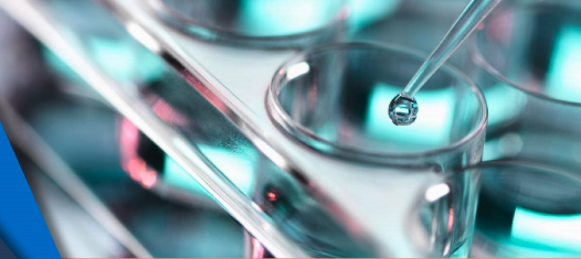 SOY-BASED SURFACTANTS